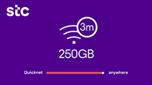 QuickNet (KSA) - 250 GB - 3 Months